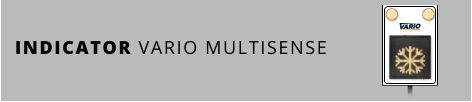 INDICATOR VARIO MULTISENSE